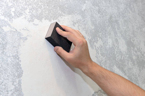 Best Air Quality Testing for Mold Spores  in Reading, PA