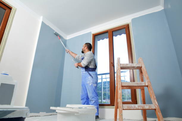 Best Water Damage & Mold Remediation  in Reading, PA