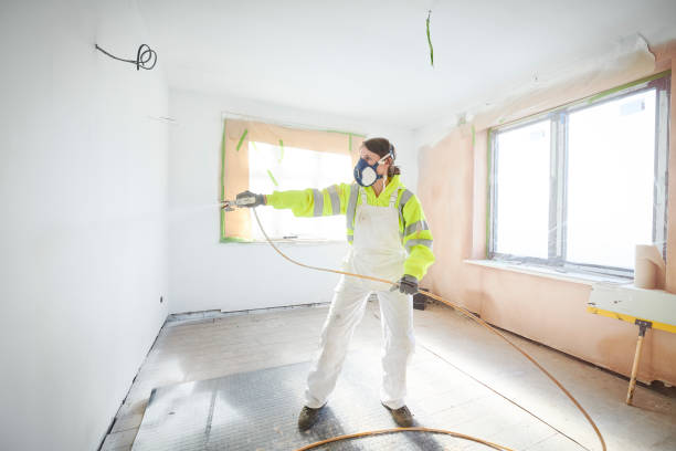 Best Basement Mold Removal  in Reading, PA