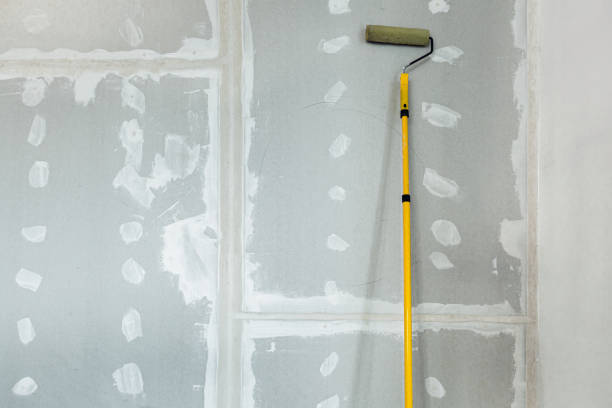 Dehumidification Services in Reading, PA