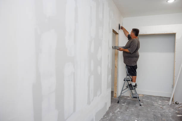 Best Mold Odor Removal Services  in Reading, PA