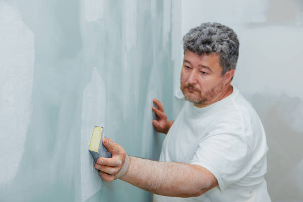 Best Mold Damage Restoration  in Reading, PA