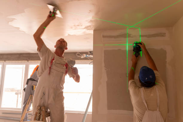 Professional Mold Removal in Reading, PA