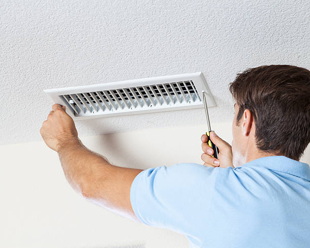 Best Crawl Space Mold Remediation  in Reading, PA