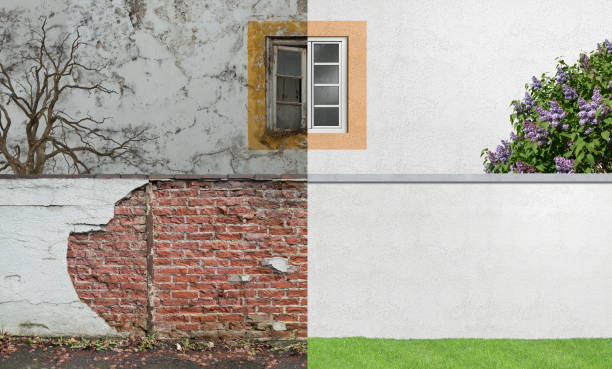 Best Residential Mold Inspection & Testing  in Reading, PA