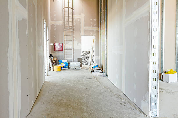 Best Mold Prevention Services  in Reading, PA