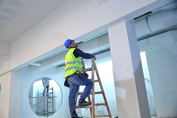 Best Industrial Mold Remediation  in Reading, PA