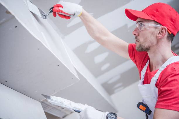 Best Emergency Mold Remediation  in Reading, PA